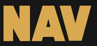 nav logo